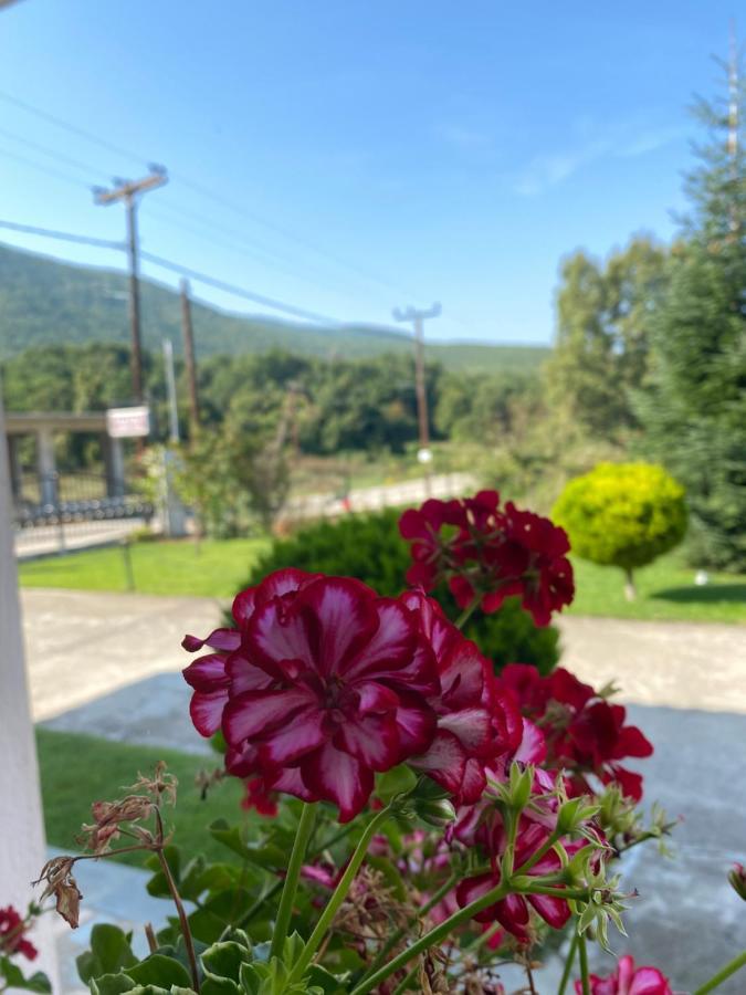 Guesthouse Anestis Angistron Bagian luar foto